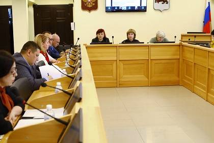 Информацию о деятельности СОНКО обсудили на заседании комиссии по Регламенту